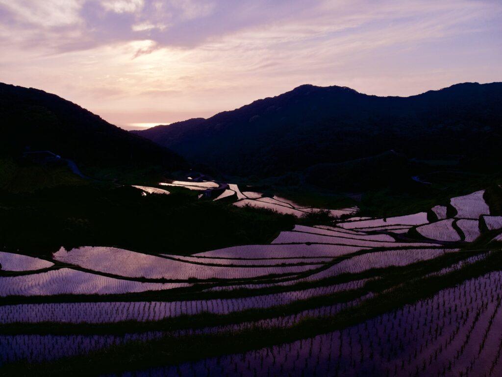 春日の棚田の夕日