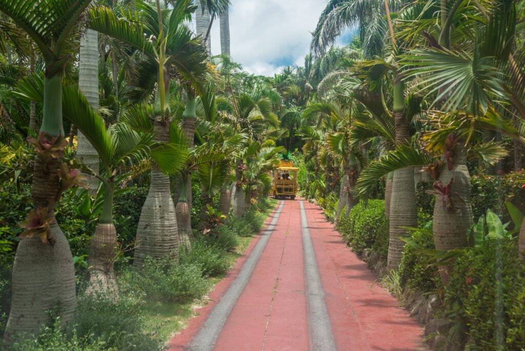 名護パイナップルパーク