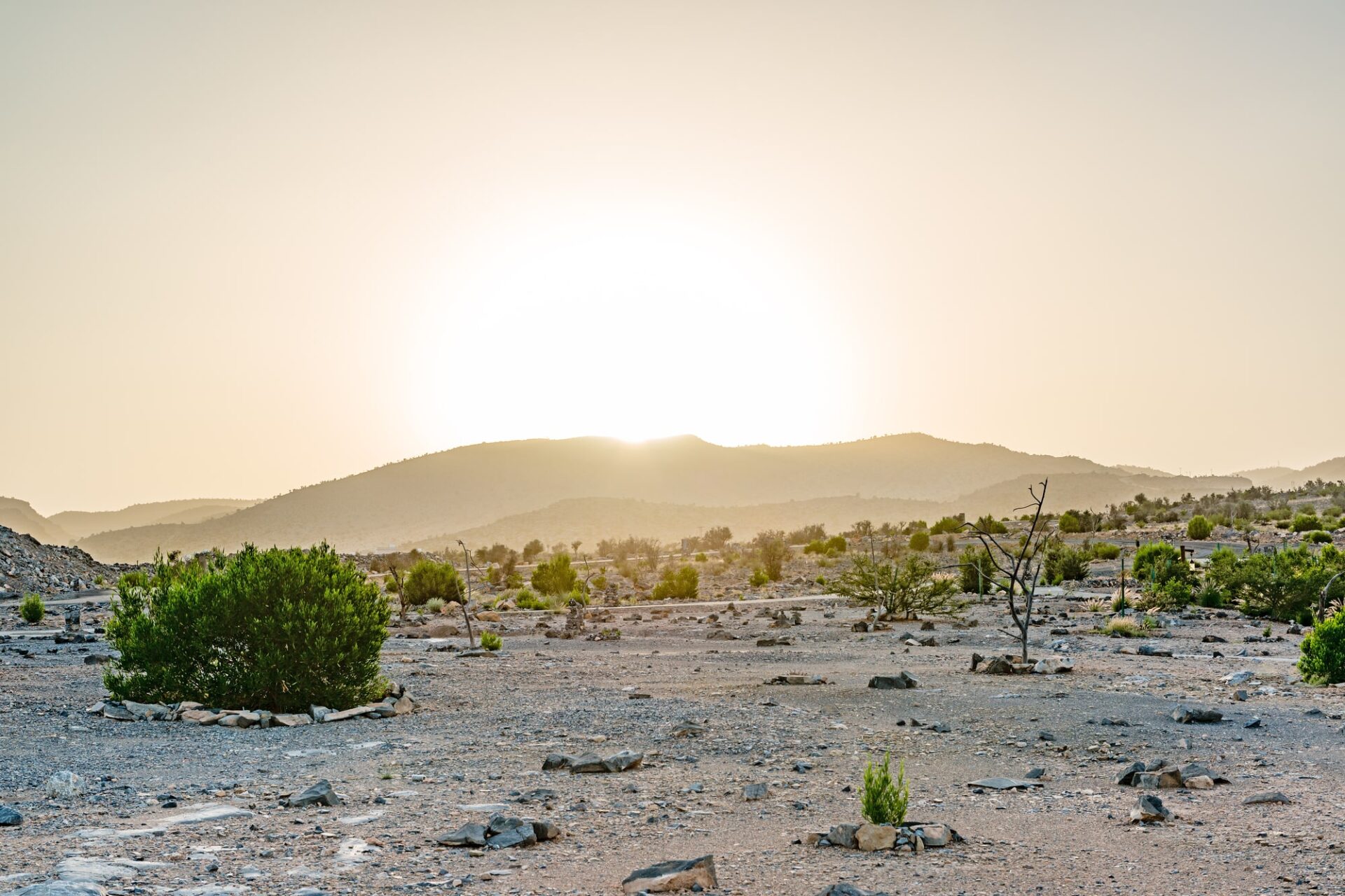陽の光が差すオマーンの広大な風景