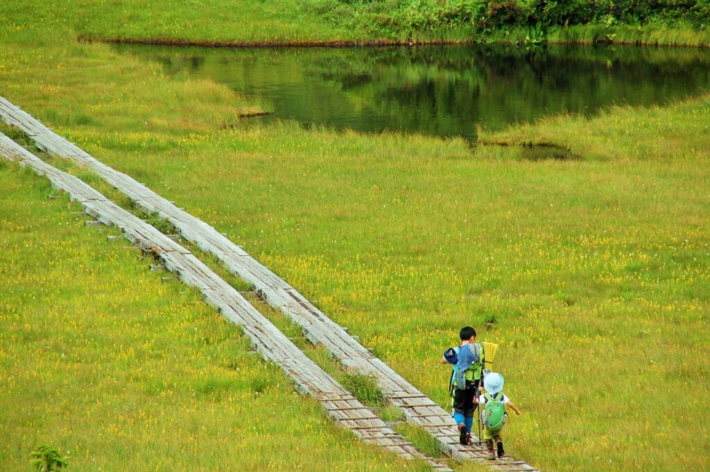 夏、子供の日光ハイキングを楽しむ