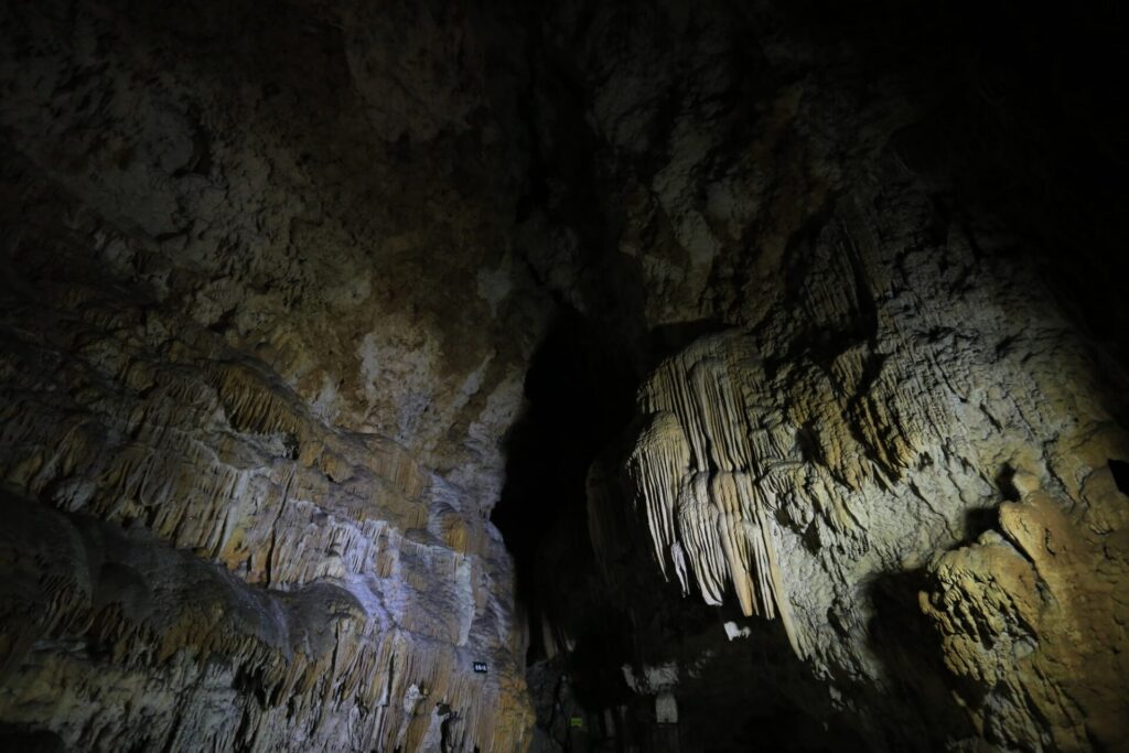 昇竜洞/沖永良部島