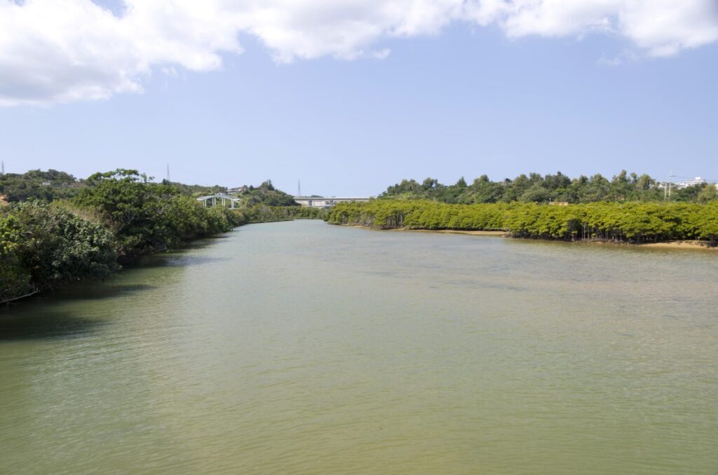 沖縄 金武町 億首川