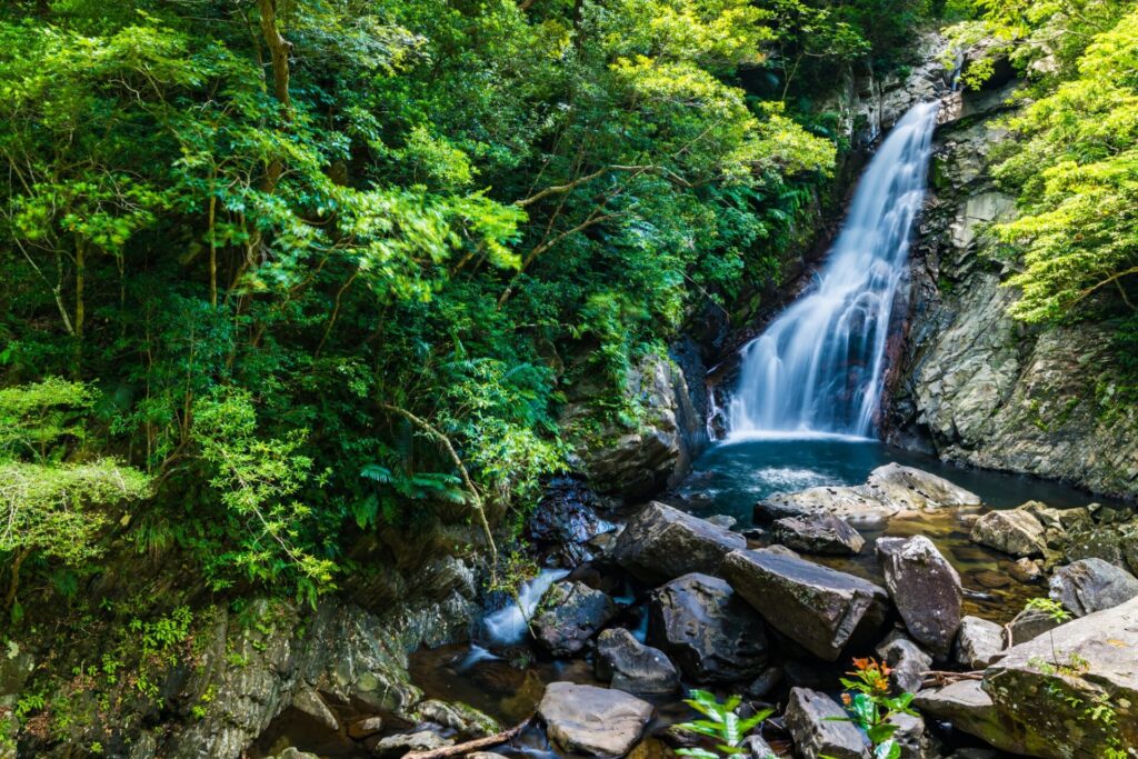 沖縄県の自然豊かな渓流と山