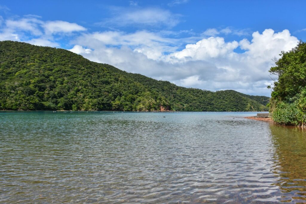 加計呂麻島　島尾敏雄文学碑公園