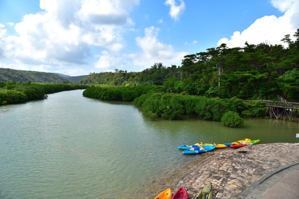 慶佐次川とカヤックボード