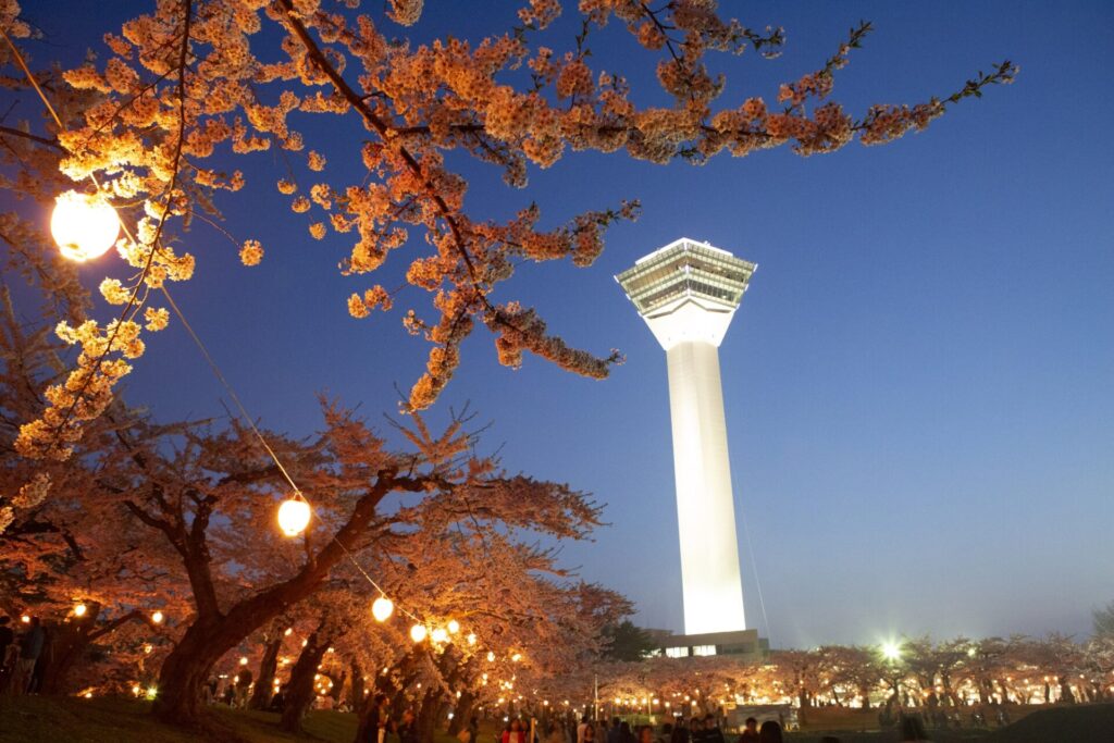 函館・五稜郭公園の夜桜