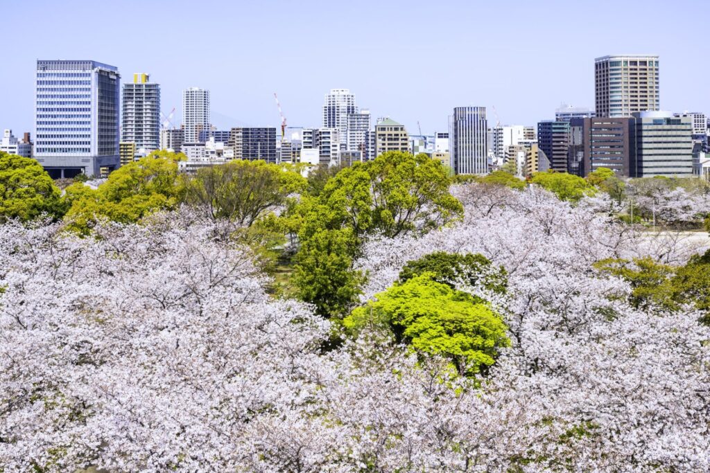 福岡観光で訪れたい福岡城跡と舞鶴公園