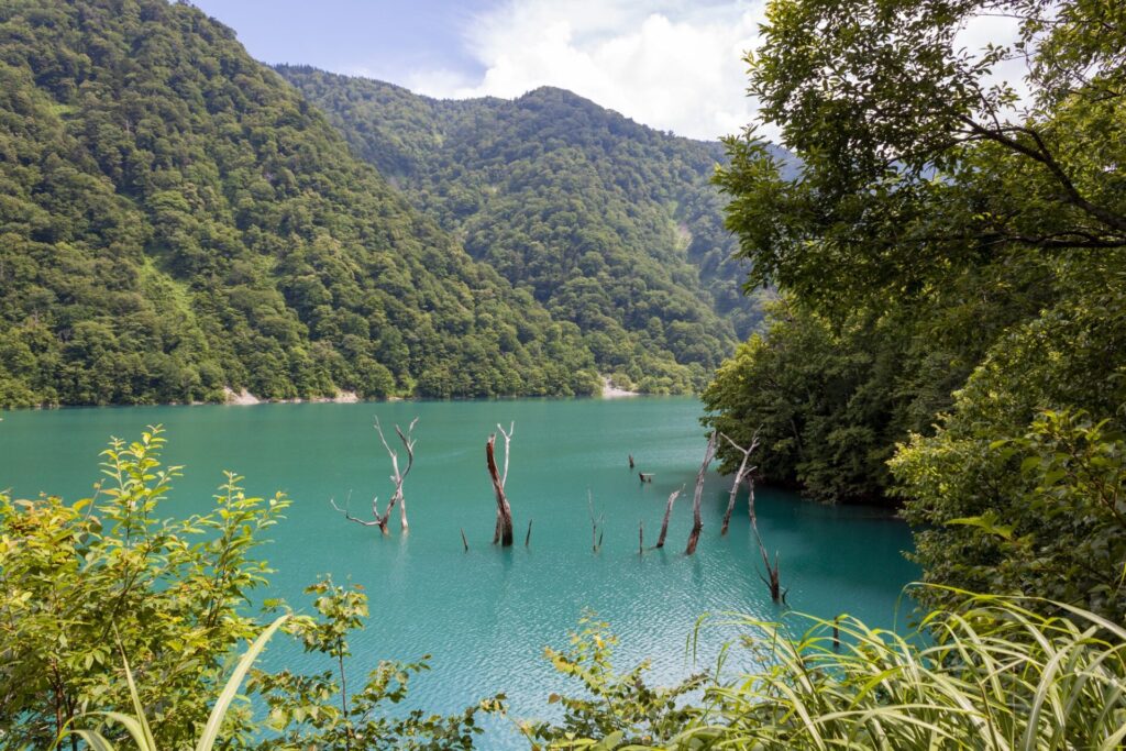 エメラルドグリーンの白水湖