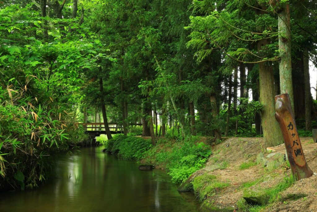 岩手県遠野市にあるカッパ渕
