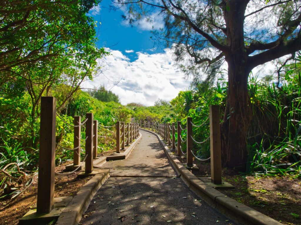 沖縄県恩納村真栄田岬の絶景ポイントへ向かう道