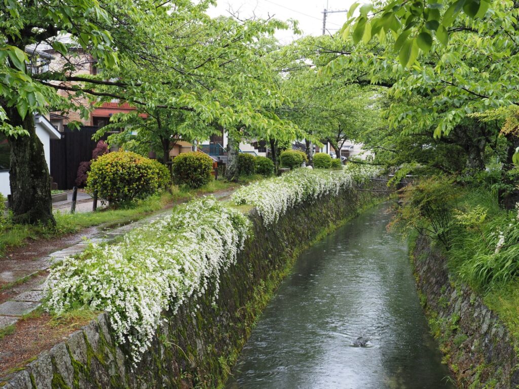 雨天時の哲学の道