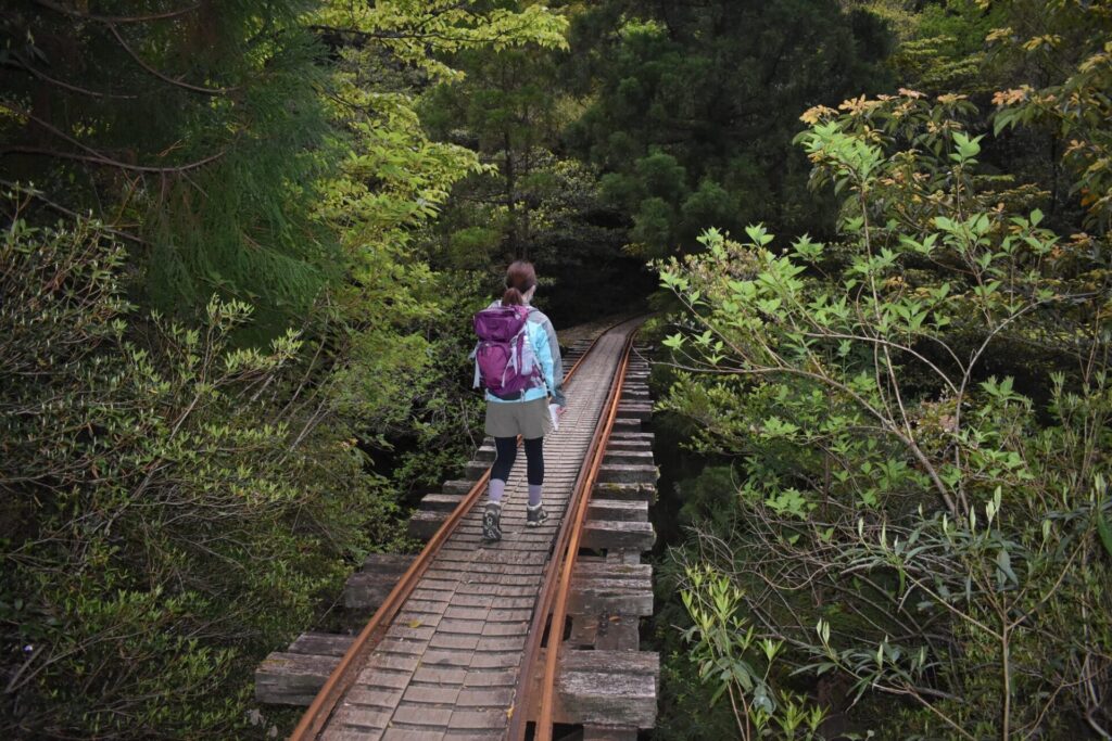 屋久島のトロッコ道を歩く女性