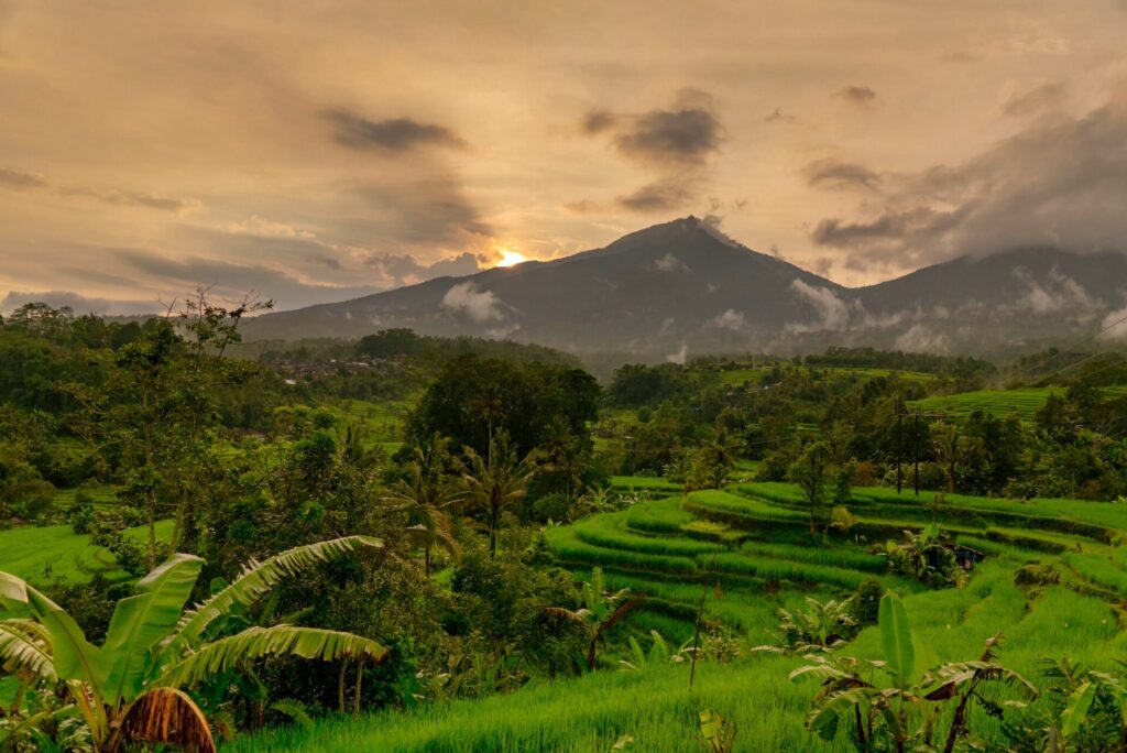 バリ島ジャティルウィの風景