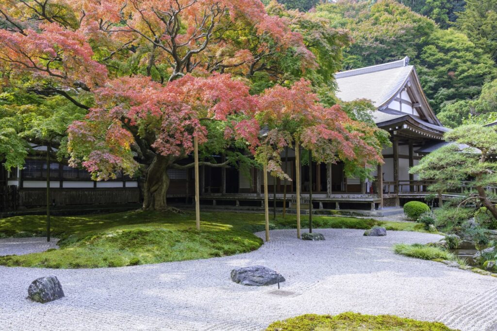 紅葉が美しい雷山千如寺大悲王院