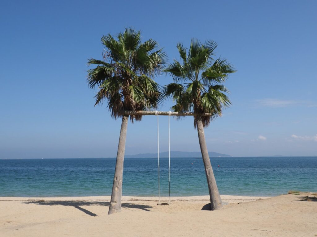 糸島市 ヤシの木ブランコ