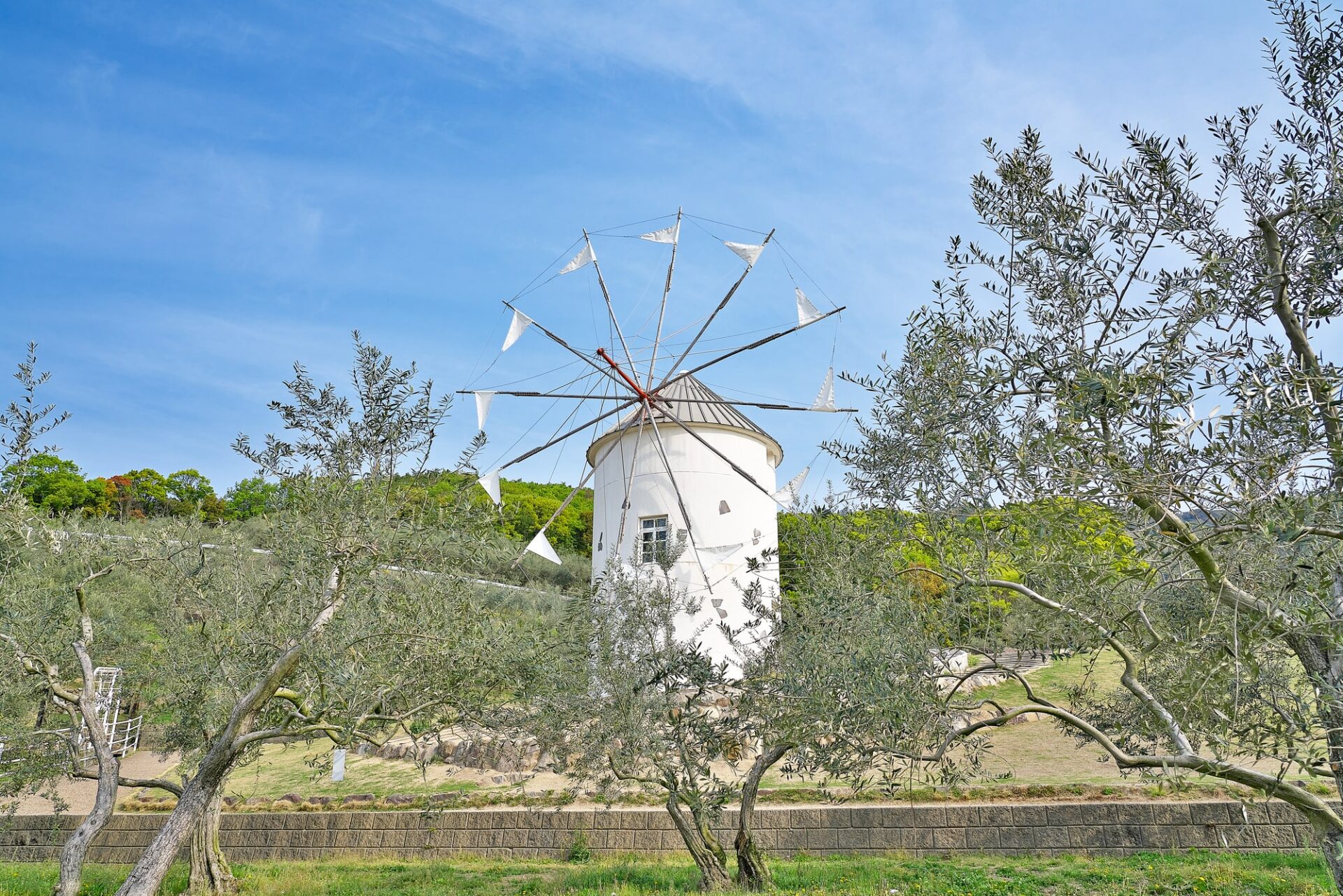 四国の小豆島オリーブ公園の風車とオリーブの木