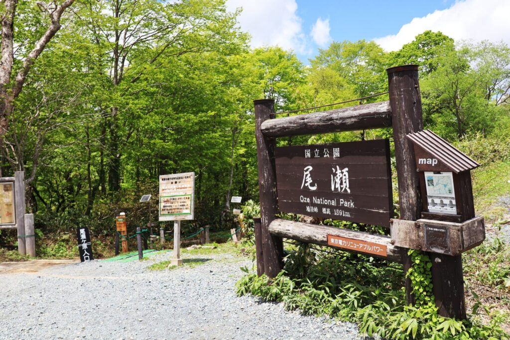 緑がまぶしい尾瀬入口