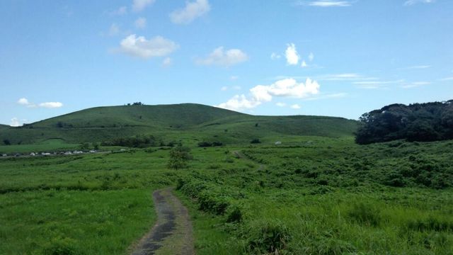 広大な風景が広がる秋吉台