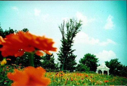 癒しの空間オープンガーデン