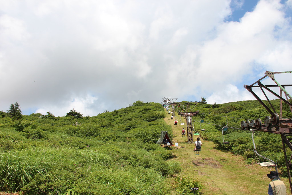 多彩なアクティビティ