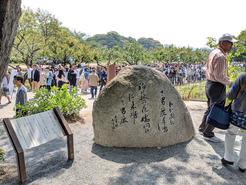 歴史を感じられる坂本八幡宮