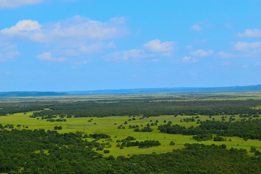 夏の道東で訪れたい「釧路湿原」