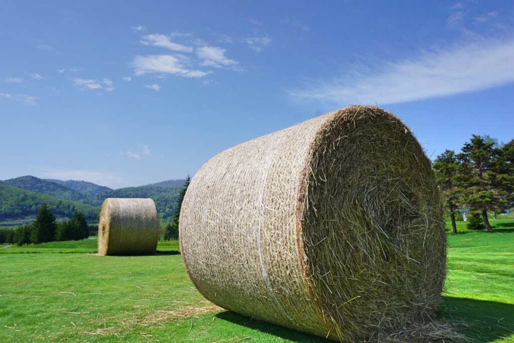北海道ならでわの風景「牧場ロール」