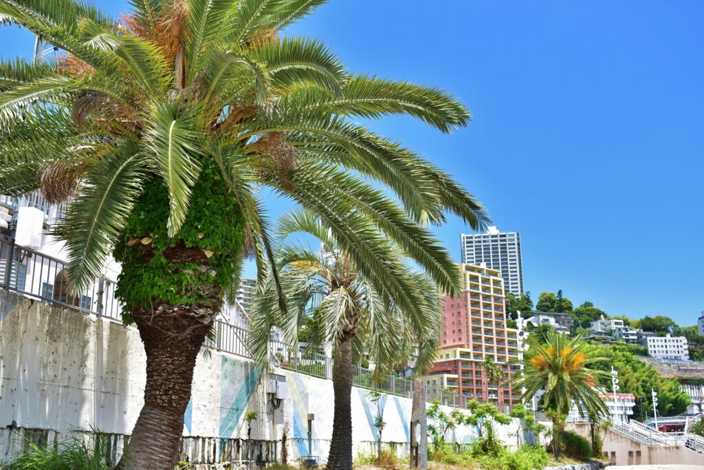 幅広い楽しみ方ができる熱海