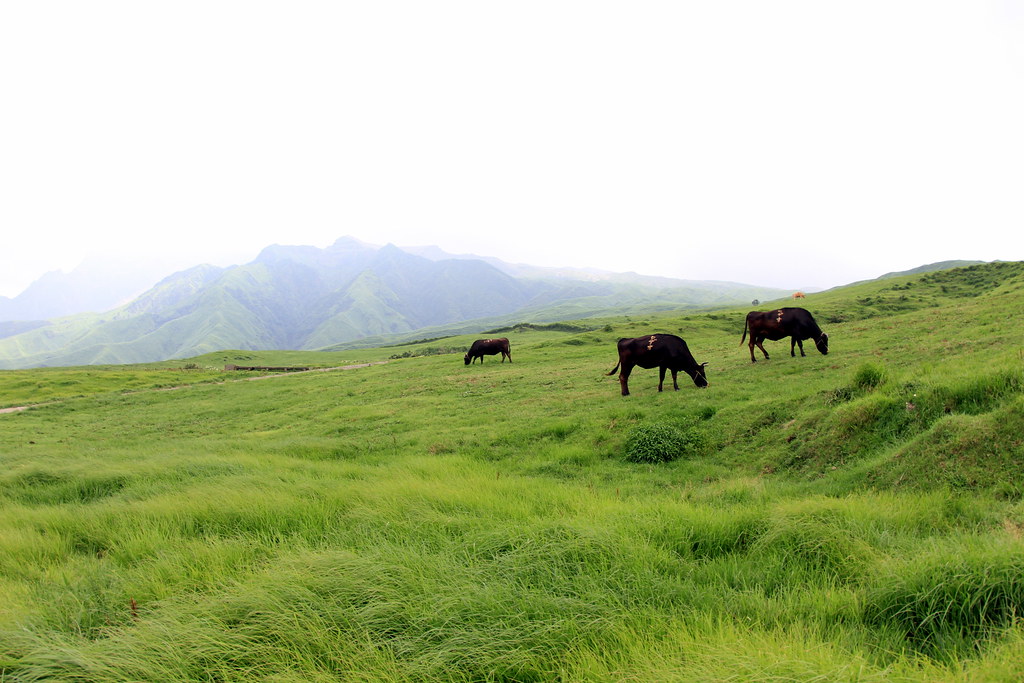 九州観光おすすめスポット阿蘇山