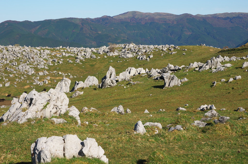 石灰岩が点在する四国カルスト