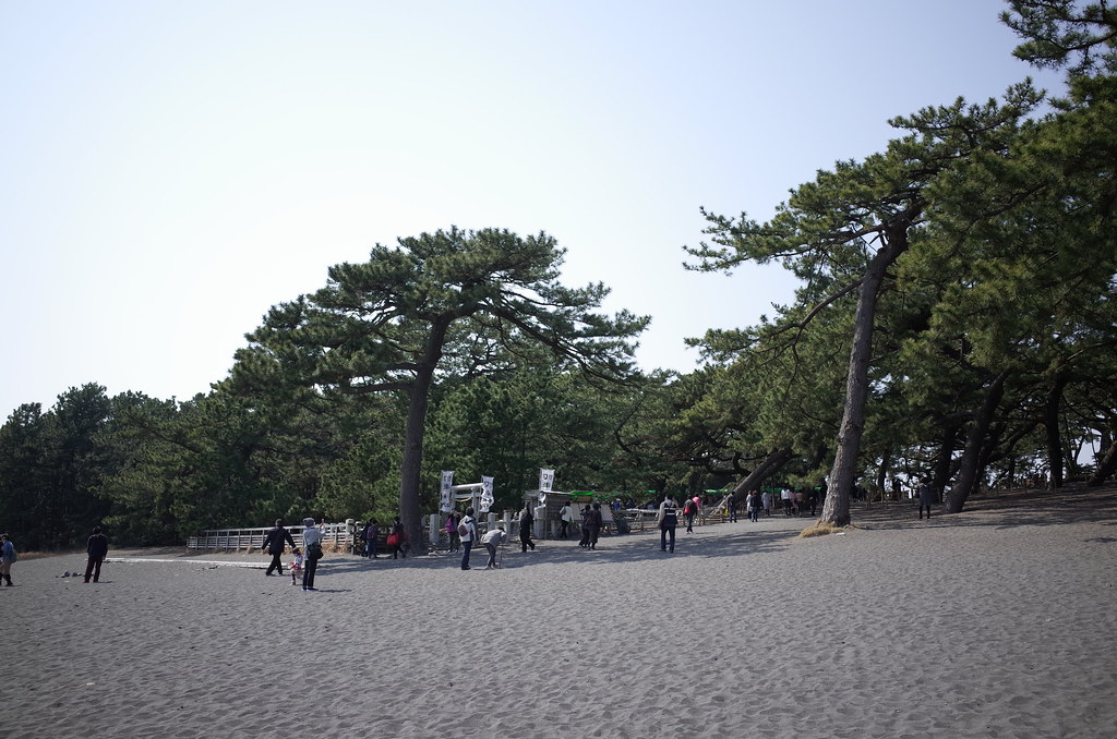 三保松原で美しい松林と砂浜を楽しむ