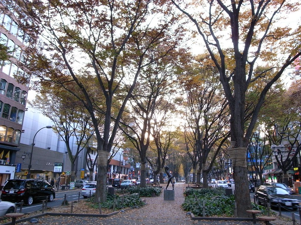 仙台の街中にある美しいケヤキ並木