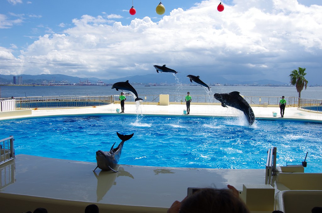 車なしの福岡観光におすすめマリンワールド海の中道