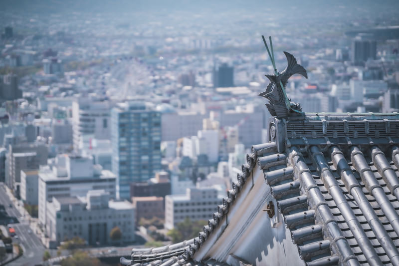 愛媛観光は車がなくても楽しめる