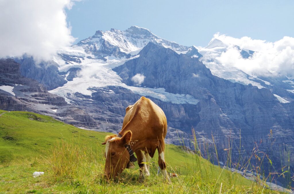 2泊3日で楽しむスイス観光モデルコース