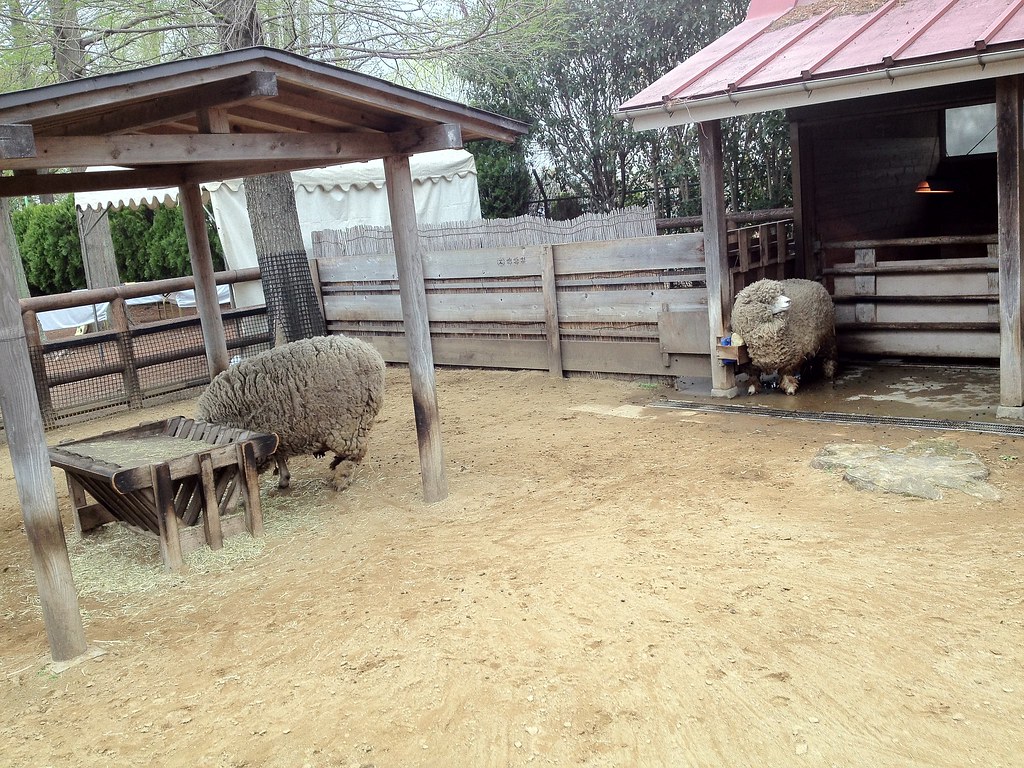 大崎公園内にある子供動物園