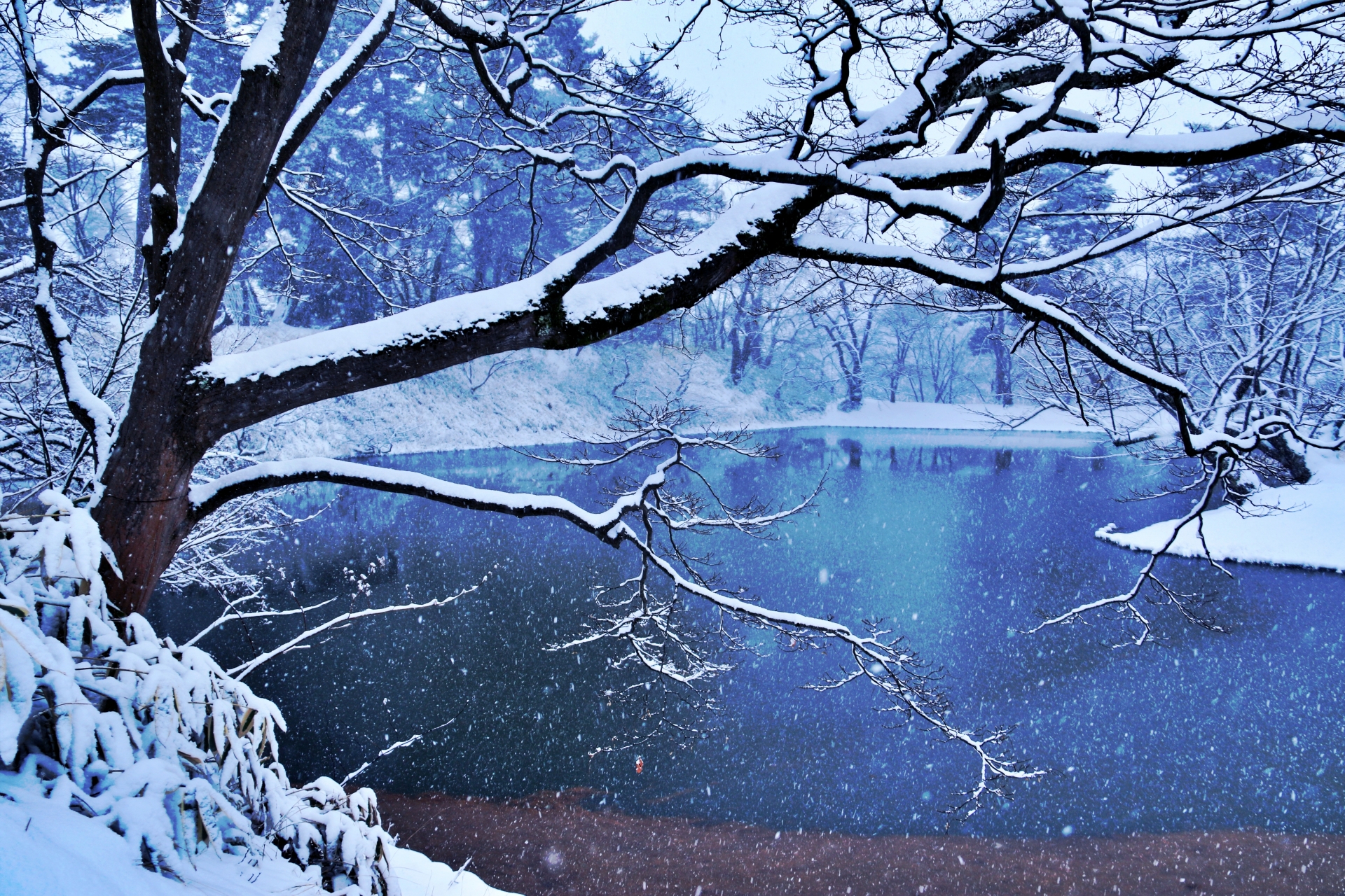 冬の弘前観光でおすすめのモデルコース