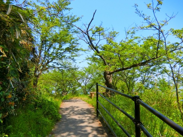 女木島観光モデルコース2日目