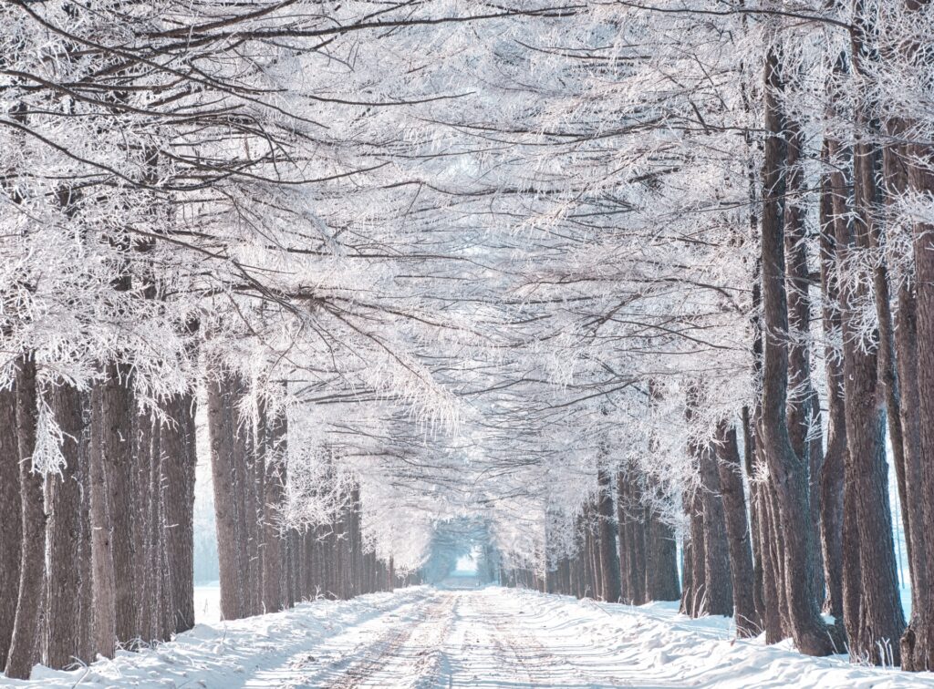 冬の帯広観光でおすすめのモデルコース1日目