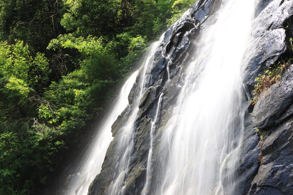 勢いよく流れる旭滝