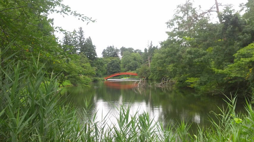 横手観光のおすすめスポット