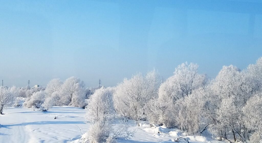 冬の帯広観光でおすすめのモデルコース