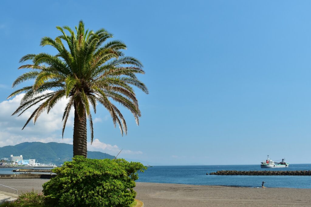 ヤシの木が南国感を感じさせる伊東オレンジビーチ