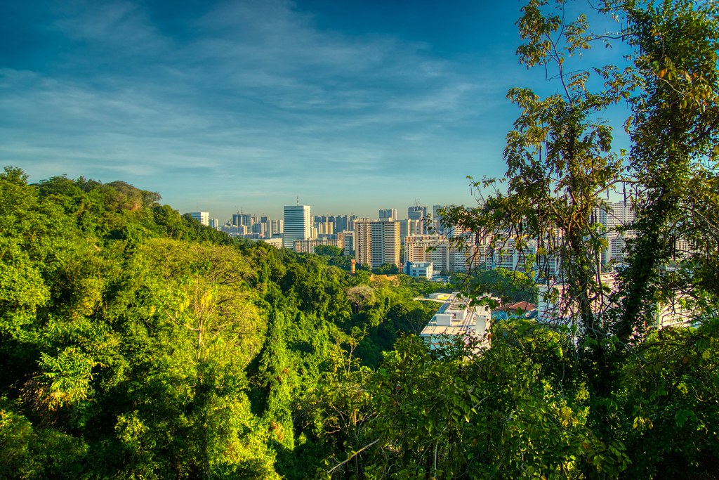 シンガポールにある自然遊歩道「サザンリッジズ」