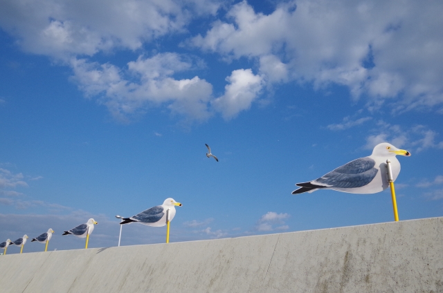 女木島のアート作品をじっくり鑑賞