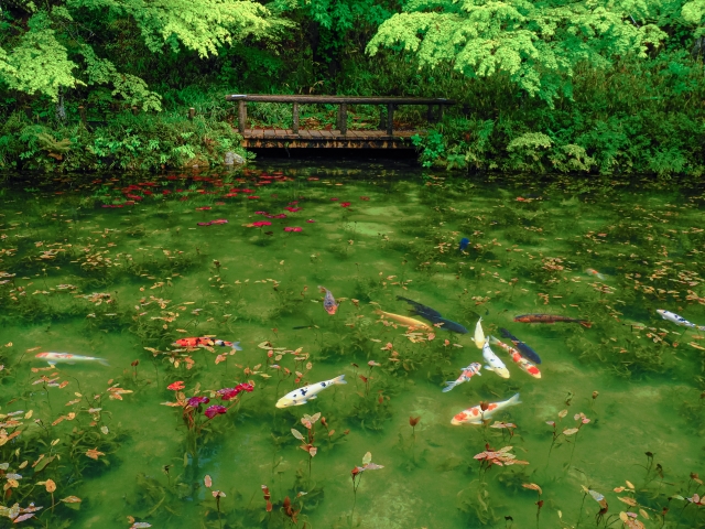 飛騨高山観光モデルコースの3日目