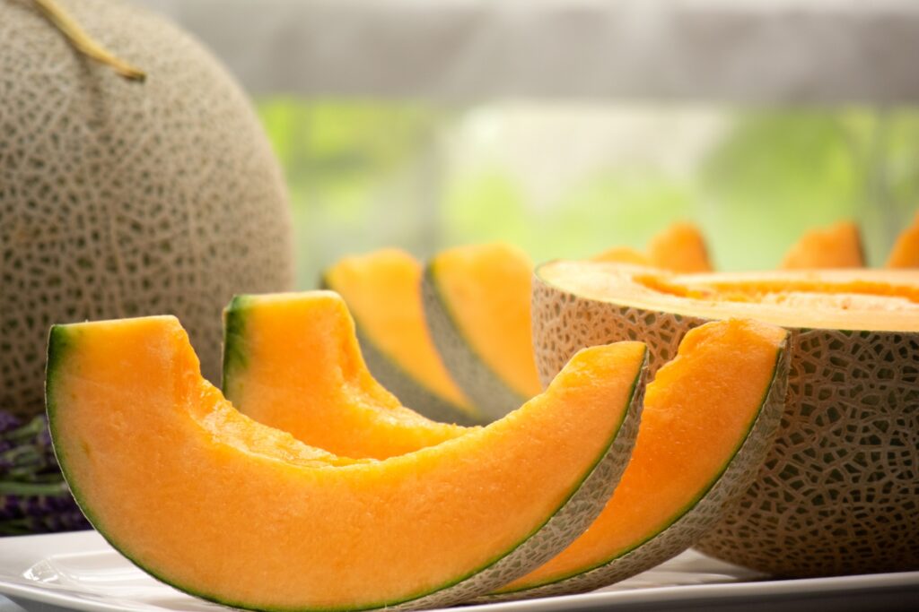 収穫の最盛期を迎えた富良野メロン