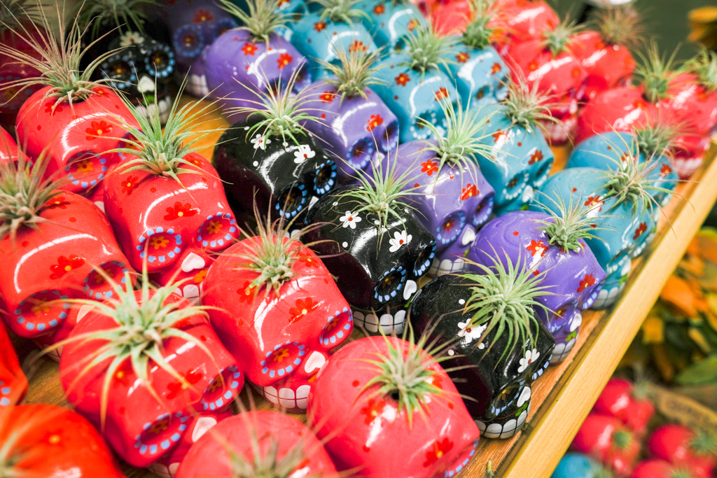 サンフランシスコ国際空港内のアート展示と文化体験