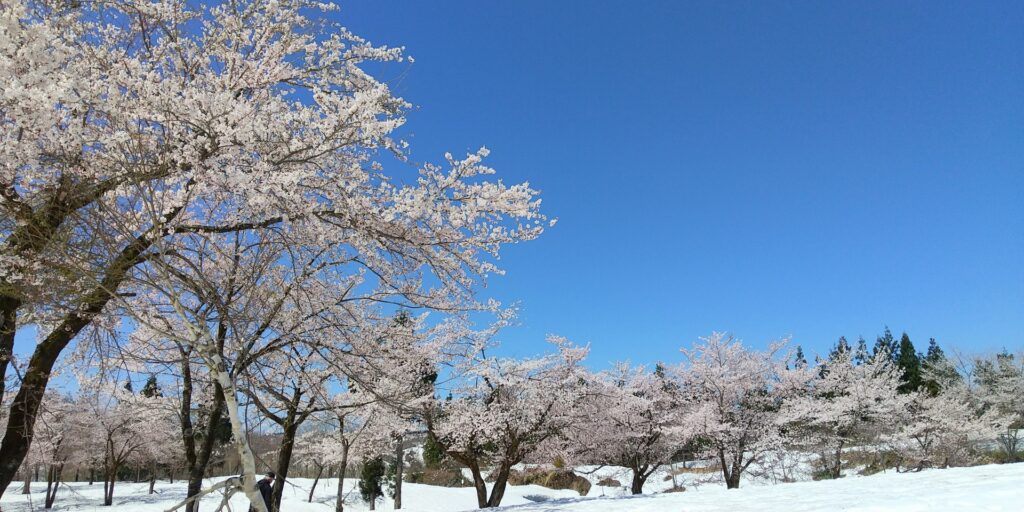 冬の新潟観光でおすすめのモデルコースまとめ