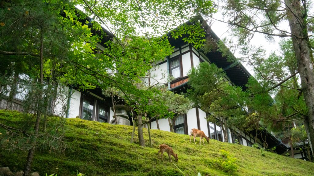 夏に行きたい奈良観光のおすすめホテル